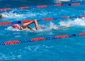 Participó Equipo de Natación Dragones IMD en Torneo de Independencia