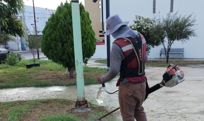 WhatsApp Image 2025-09-17 at 11.08.15 AM