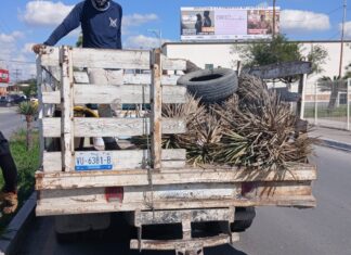 Continúa Gobierno de Reynosa con trabajo de limpieza y mantenimiento