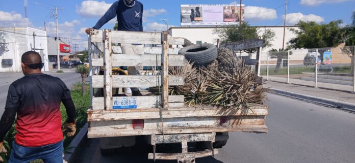 WhatsApp Image 2025-10-01 at 10.37.01 AM