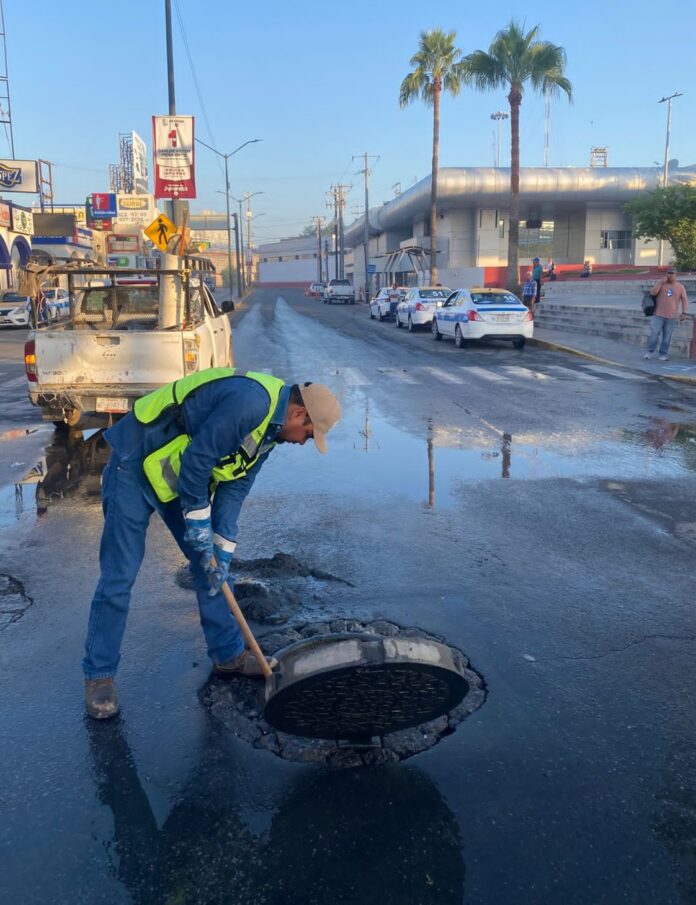 WhatsApp Image 2025-10-06 at 10.07.40 AM