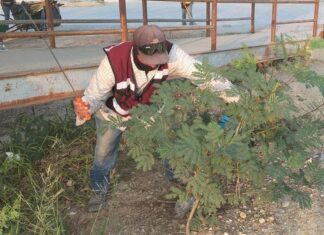 Trabaja Gobierno de Carlos Peña Ortiz en área suburbana