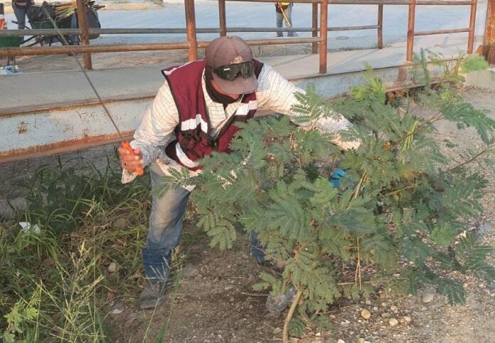 WhatsApp Image 2025-10-08 at 9.42.21 AM