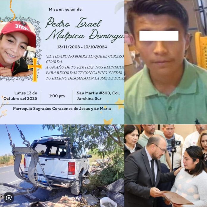 WhatsApp Image 2025-10-12 at 2.56.40 PM