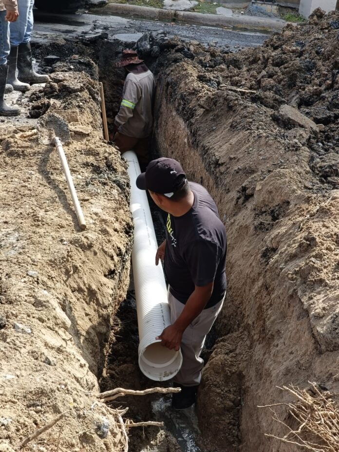 WhatsApp Image 2025-10-22 at 11.30.19 AM