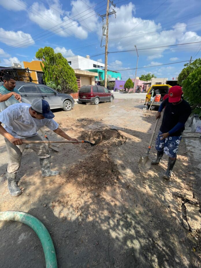 WhatsApp Image 2025-10-27 at 12.13.55 PM