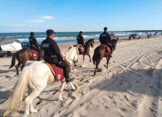 Agrupamiento Montado de la Guardia Estatal brinda seguridad en Torneo Internacional en La Pesca