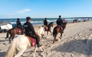 Agrupamiento Montado de la Guardia Estatal brinda seguridad en Torneo Internacional en La Pesca