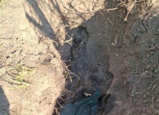 Hallan fosa clandestina con osamenta femenina en el ejido El Porvenir; podría tratarse de joven desaparecida desde 2019