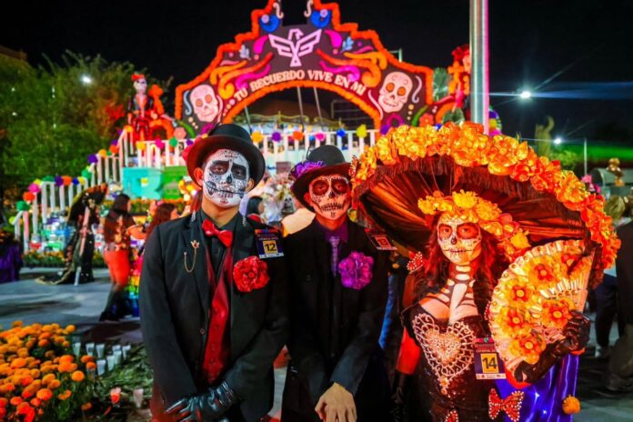 WhatsApp Image 2025-11-02 at 1.51.07 AM