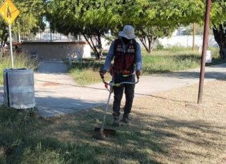 Efectúa Gobierno de Carlos Peña Ortiz actividades de limpieza y mantenimiento de Reynosa