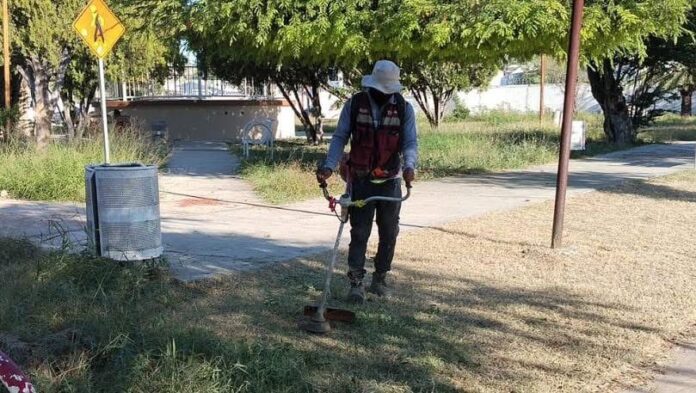 WhatsApp Image 2025-11-03 at 2.34.37 PM