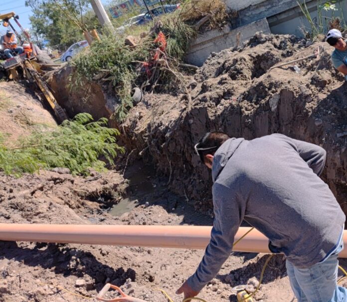 WhatsApp Image 2025-11-03 at 9.37.26 AM