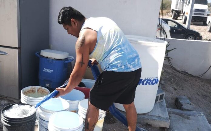 WhatsApp Image 2025-11-04 at 2.51.06 PM