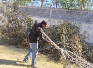 Cumple Gobierno de Reynosa mantenimiento y limpieza de la ciudad