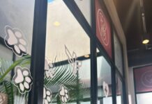 Gobierno Municipal de Reynosa Ofrece Servicios Médicos para Mascotas