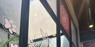 Gobierno Municipal de Reynosa Ofrece Servicios Médicos para Mascotas