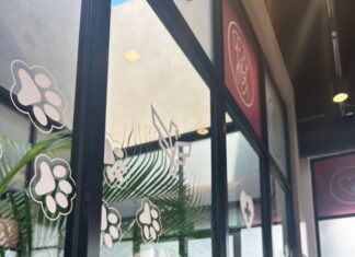 Gobierno Municipal de Reynosa Ofrece Servicios Médicos para Mascotas