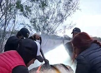 6ta. Busqueda del colectivo.