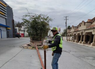*Recupera Gobierno de Reynosa postes del alumbrado público derribados por ventarrón*