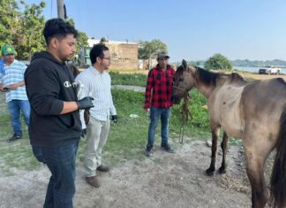 *Mónica Villarreal Anaya refuerza acciones de salud animal en Tampico*