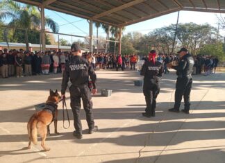 *Con binomio canino antidrogas la Guardia Estatal refuerza la prevención en escuelas*