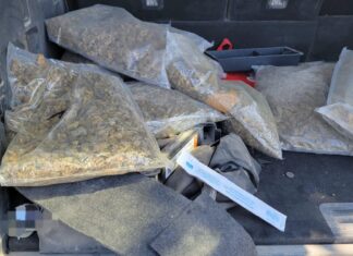 Guardia Estatal asegura camioneta con estupefacientes y ponchallantas en Díaz Ordaz