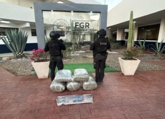 Guardia Estatal asegura vehículos con armamento y narcóticos en Díaz Ordaz
