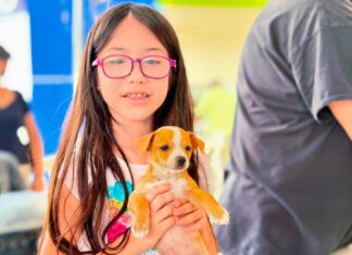 *Promueve Gobierno de Reynosa salud animal en coordinación con Asociación Civil*