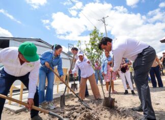 Participa Reynosa en Jornada Nacional de Reforestación 2026
