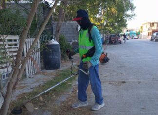 *Reconoce Carlos Peña Ortiz participación de familias en Jornada de Limpieza y Descacharrización en Balcones de Alcalá*