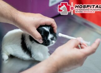 *Promueve Alcalde de Reynosa atención del Hospital Veterinario Municipal*
