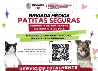 *Llevará Gobierno de Carlos Peña Ortiz Brigada Patitas Seguras al ejido Rodolfo Martín Rocha*